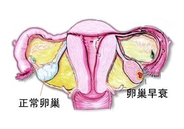 西安女子医院做妇科检查_天佑妇产医院怎么样_天佑妇产女子医院_西安女子医院_天佑妇产医院月经不调_天佑妇产医院无痛人流_小寨妇产医院